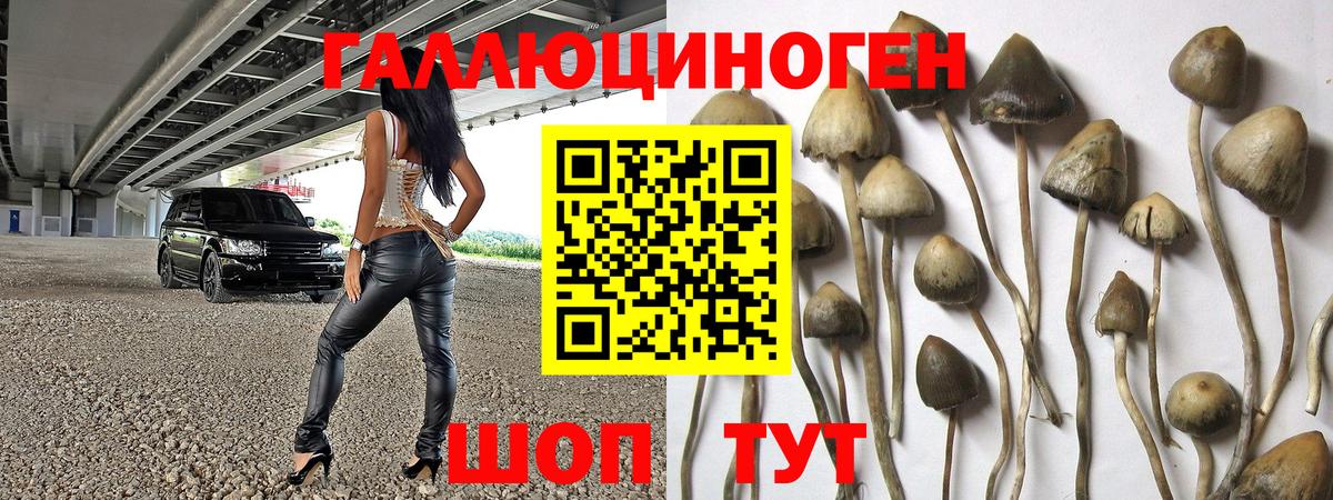 Псилоцибиновые грибы прущие грибы  Вход с VPN  Шебекино 