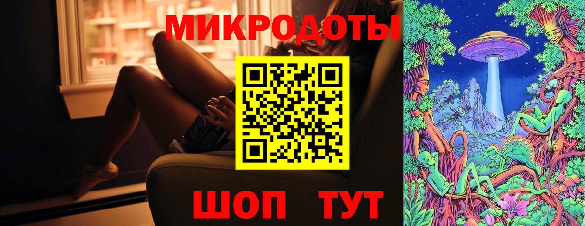 Псилоцибиновые грибы мицелий Шебекино